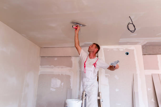 Best Residential Painting  in Vermillion, SD